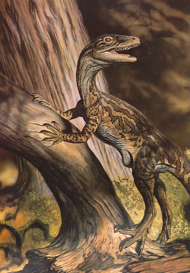 Staurikosaurus by Mark Hallett
