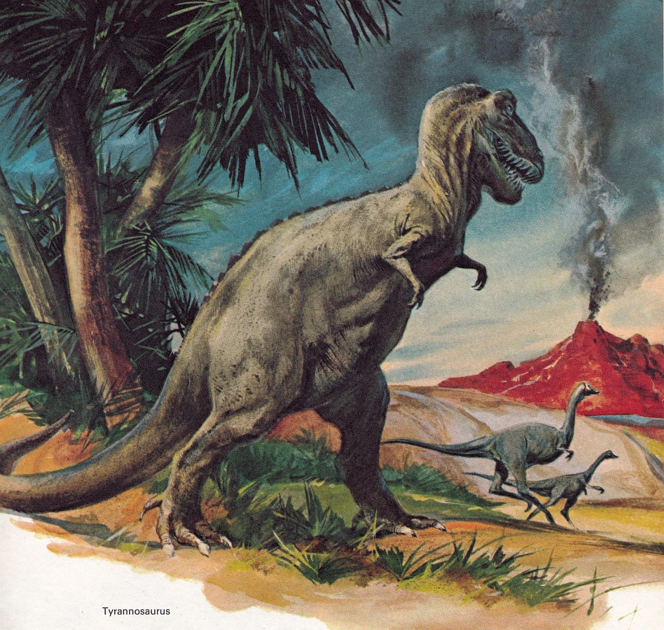 Golden World Explorer Book - Tyrannosaurus