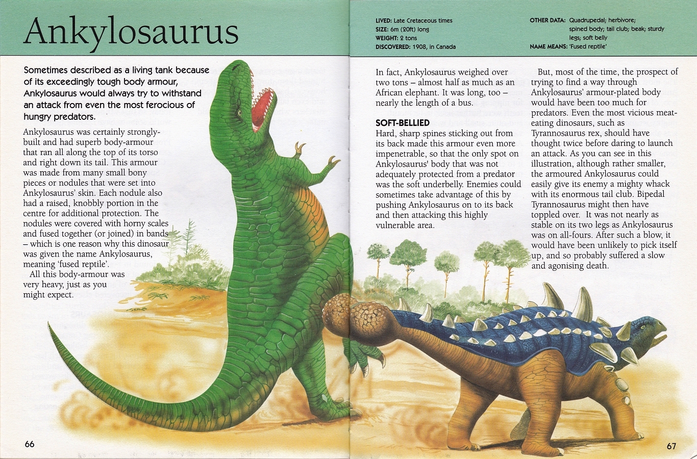 Ankylosaurus by Tony Gibbons