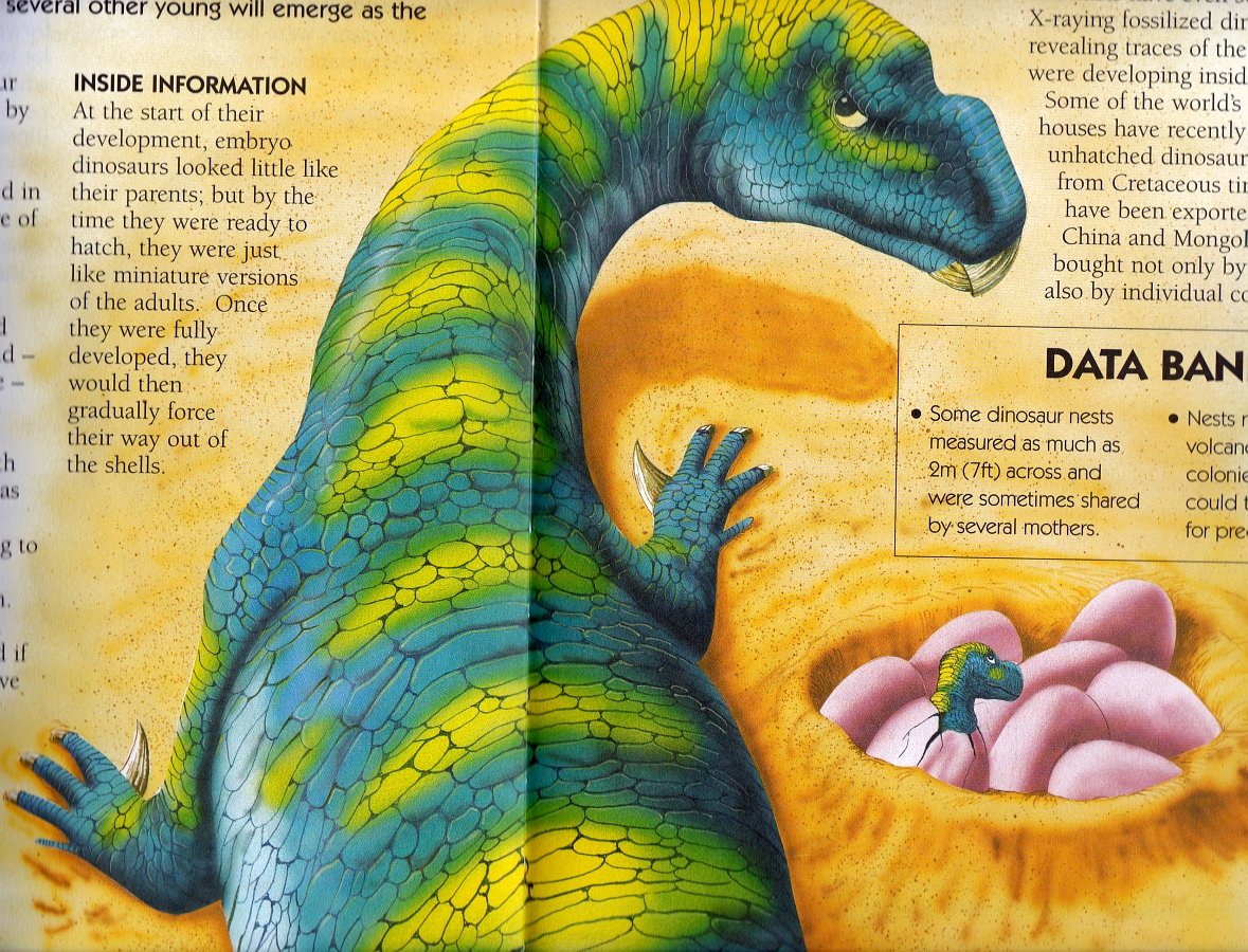 Muttaburrasaurus by Tony Gibbons